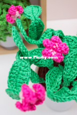 Yarn Plaza - Christmas Cactus - Free