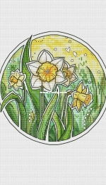 Daffodils by Alisa Okneas