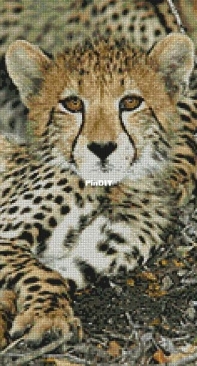 Artecy Cross Stitch - Baby Leopard