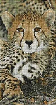 Artecy Cross Stitch - Baby Leopard