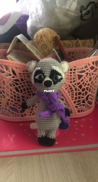 Raccoon