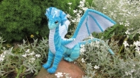 The Dragon