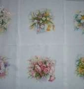 My pictures