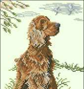 Lanarte 34576 Cockerspaniel XSD