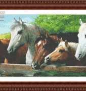 Classic Cross Stitch AN177 Companions