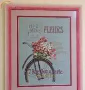 Parisian Bicycle