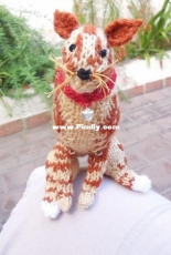 Ginger cat