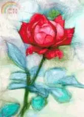 Better Cross Stitch - Beautiful Red Rose - FREE