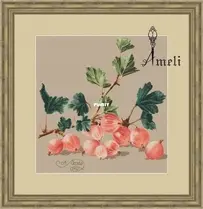 Ameli Stitch - Pink Gooseberry by Anna Smith / Kuznetsova