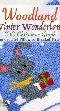 Winding Road Crochet - Lindsey Dale - Little Gray Rabbit C2C Square Graph - Free