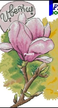 Magnolia by Inna Lupanova XSD