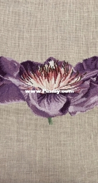 Dmc - Passion flower