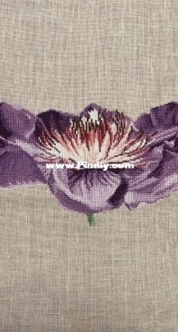 Dmc - Passion flower