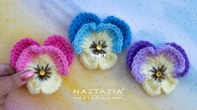 Naztazia - Donna Wolfe - Pansy Flower - Free