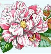 Classic Camellia by Barbara Baatz from American School of Needlework ASN3712 Five Fabulous Flowers PCS + XSD