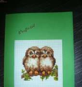 owls