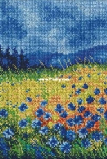 RTO M625 Skyblue Cornflowers