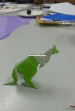 kangaroo paper