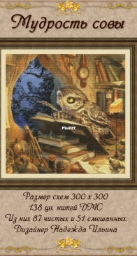 Golden Rose - 029 The Wisdom of the Owl