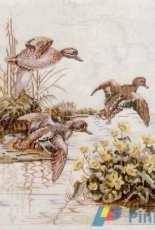 Eva Rosenstand - 12-330 - Wild Ducks 2
