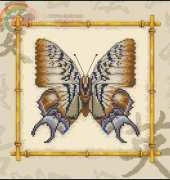 Zolotoe Runo MB-001 Butterfly