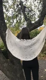 Winterday shawl by Anne B Hanssen