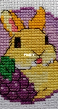 Rabbit Grapes