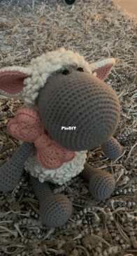 Sheep