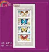 KCO 615115 - colour butterflies
