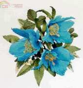The Silver Lining SL82 Himalayan Blue Poppy