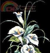 Dimensions - Sunset 13569 Calla Lilies PCS