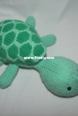 Sheldon Turtle