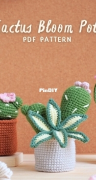 PHoaCrochet - Hoa Phong Nữt - Cactus Bloom Pots: Petal and Prickles Pot, Blossom Cactus Pot, Cactus Sweetie Pot