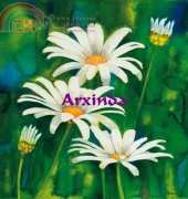 Arxinda - Margherites