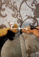 Friends forever
