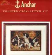 Anchor PCE930 - The Orphans