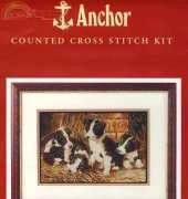 Anchor PCE930 - The Orphans