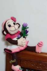 Momkey girl