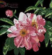 Dimensions 3859 Precious Peonies