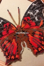 Red butterfly