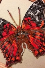 Red butterfly