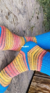 Socks