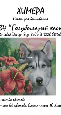 Chimera H434 - Blue-eyed Husky