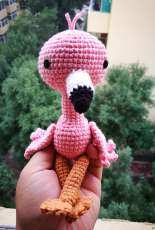 Lovely flamingo.