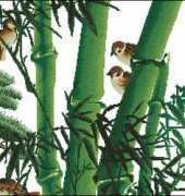 DOME 90611 - Bamboo Grove