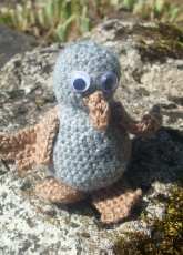 petit oiseau