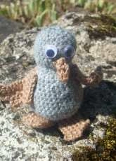 petit oiseau