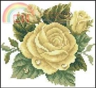 Yellow Rose with dew