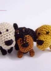Miniature Dogs