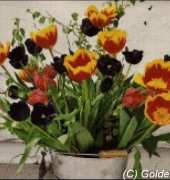 Golden Kite GK 634 - Tulips in a Bucket